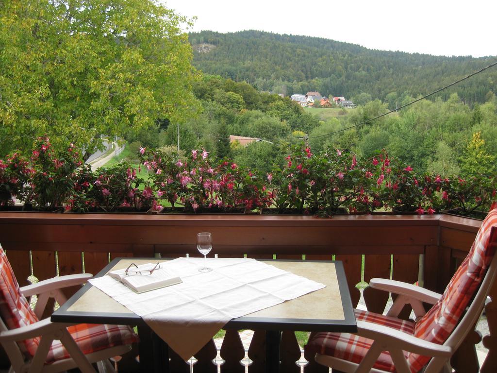 Haus Am Kreuzbuehl Apartamento Dachsberg im Schwarzwald Exterior foto