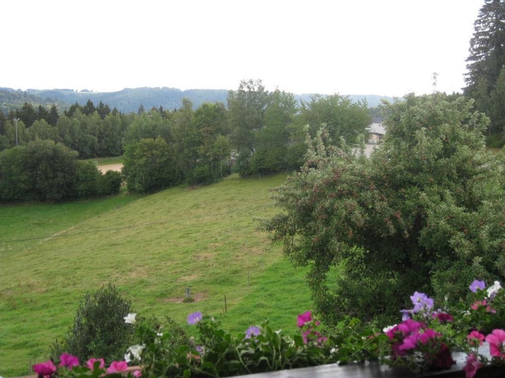 Haus Am Kreuzbuehl Apartamento Dachsberg im Schwarzwald Exterior foto