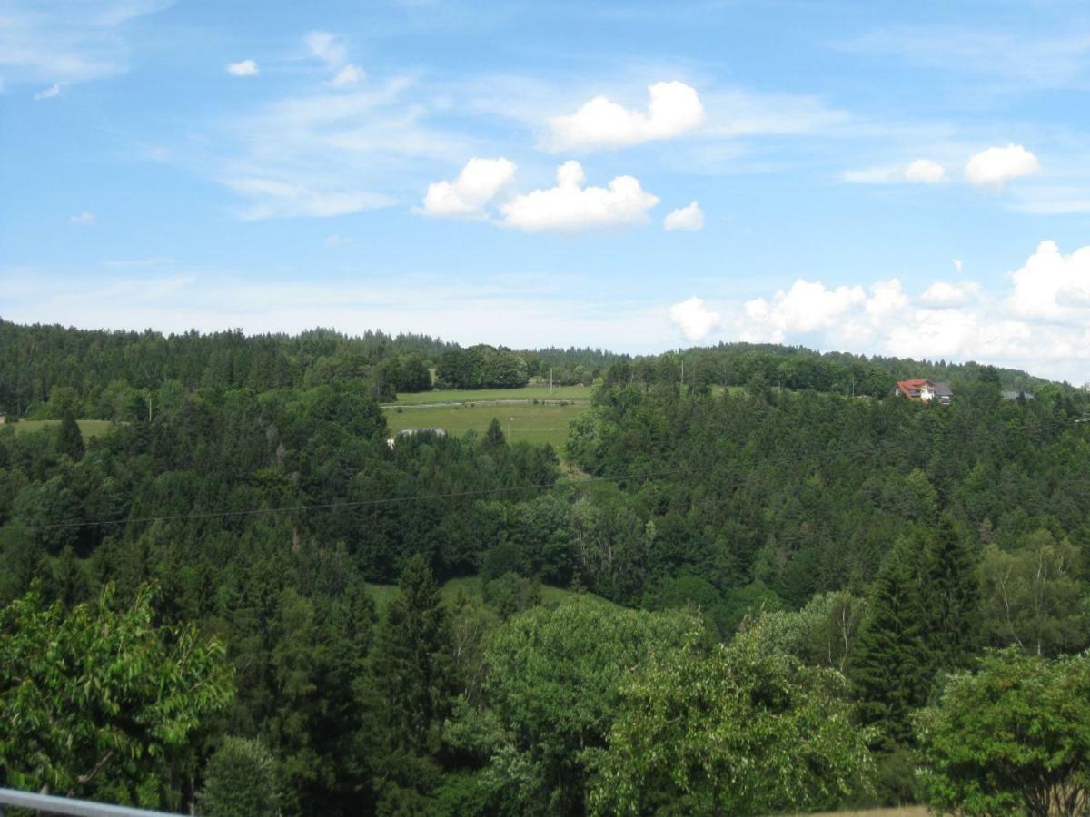 Haus Am Kreuzbuehl Apartamento Dachsberg im Schwarzwald Exterior foto